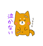ゆるしばくん（個別スタンプ：26）
