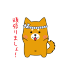 ゆるしばくん（個別スタンプ：27）