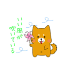 ゆるしばくん（個別スタンプ：34）