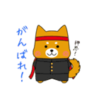 ゆるしばくん（個別スタンプ：37）