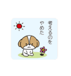 お茶目かわいいシーズースタンプ（個別スタンプ：38）