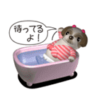 愉快なシーズーさん（個別スタンプ：36）