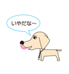 100dog 2（個別スタンプ：14）