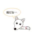 100dog 2（個別スタンプ：19）