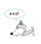 100dog 2（個別スタンプ：24）