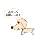 100dog 2（個別スタンプ：40）