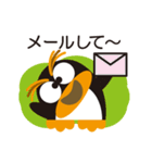 イワトビペンギンのトビー（個別スタンプ：11）