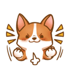 Corgi 