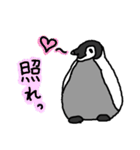 赤ちゃんコウテイペンギン（個別スタンプ：12）