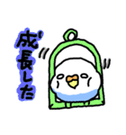 丸いインコ（個別スタンプ：24）