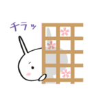 あやまり上手うさぎ（個別スタンプ：5）