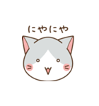 ねこかお（個別スタンプ：17）