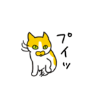 マプねこ（個別スタンプ：19）