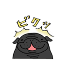 黒パグ敬語（個別スタンプ：5）