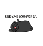 黒パグ敬語（個別スタンプ：30）