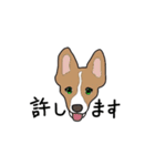 萌え犬（個別スタンプ：21）