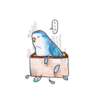 ハコインコ（個別スタンプ：7）