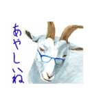 オシャレ動物コレクション（個別スタンプ：3）