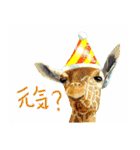 オシャレ動物コレクション（個別スタンプ：15）