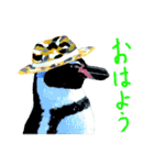 オシャレ動物コレクション（個別スタンプ：23）