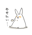 くいしんぼううさぎ だいふく。（個別スタンプ：15）