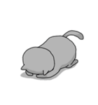 マイペース灰色猫【にくにくシリーズ】（個別スタンプ：37）