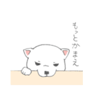 しろ柴犬の子犬（個別スタンプ：27）