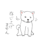 しろ柴犬の子犬（個別スタンプ：39）