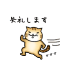 なにかと丁寧な猫（個別スタンプ：20）