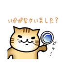 なにかと丁寧な猫（個別スタンプ：24）