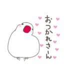 関西弁の白文鳥（個別スタンプ：3）