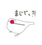 関西弁の白文鳥（個別スタンプ：12）