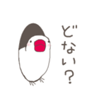 関西弁の白文鳥（個別スタンプ：15）