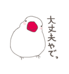 関西弁の白文鳥（個別スタンプ：16）