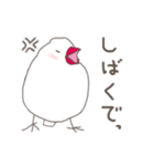 関西弁の白文鳥（個別スタンプ：35）