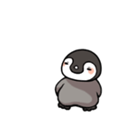 皇帝ペンギンの赤ちゃん2（個別スタンプ：5）
