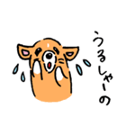 豚の赤ちゃん備後弁ver.マギーも一緒3（個別スタンプ：3）