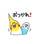 マルとピーコ3（個別スタンプ：5）