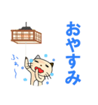 毎日ねこスタンプ男1（個別スタンプ：40）