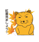 いぐねこ（個別スタンプ：29）