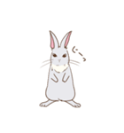 おてんばウサギ（個別スタンプ：6）