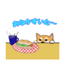 柴犬ちゅばるん（個別スタンプ：34）