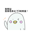 お薬シロイルカ きゅぴー（個別スタンプ：19）