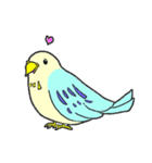インコのピィちゃん（個別スタンプ：1）