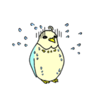 インコのピィちゃん（個別スタンプ：2）