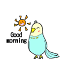 インコのピィちゃん（個別スタンプ：3）