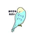 インコのピィちゃん（個別スタンプ：8）