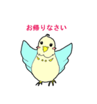 インコのピィちゃん（個別スタンプ：10）