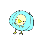 インコのピィちゃん（個別スタンプ：11）