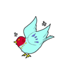 インコのピィちゃん（個別スタンプ：12）